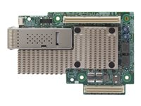 Broadcom BCM957504-M1100G16 - adaptateur réseau - OCP - 100 Gigabit Ethernet x 1 BCM957504-M1100G16