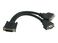C2G - Câble d'écran - DMS-59 (M) pour HD-15 (VGA), DVI-I (F) 81226
