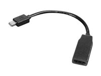 Lenovo - Câble d'écran - Mini DisplayPort (M) pour HDMI (F) - 20 cm - pour ThinkCentre M75t Gen 2; ThinkPad P51; ThinkStation P330 Gen 2; P34X; P350; P520; P620 0B47089