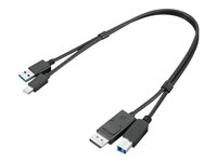 Lenovo Dual Head - Affichage/kit de câble USB - USB type A, DisplayPort (M) pour USB Type B, Mini DisplayPort (M) - USB 3.0 - 43 cm - noir - pour ThinkCentre M75t Gen 2; ThinkStation P340; P350 4X91D11453
